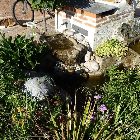 Rural La Rosa De Tiempos