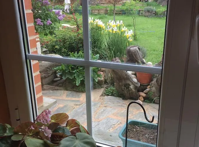 Rural La Rosa De Tiempos 3*